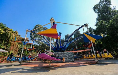 2018 CAE北京展 龍之盈游樂邀您參觀，共賞精彩游玩設(shè)備