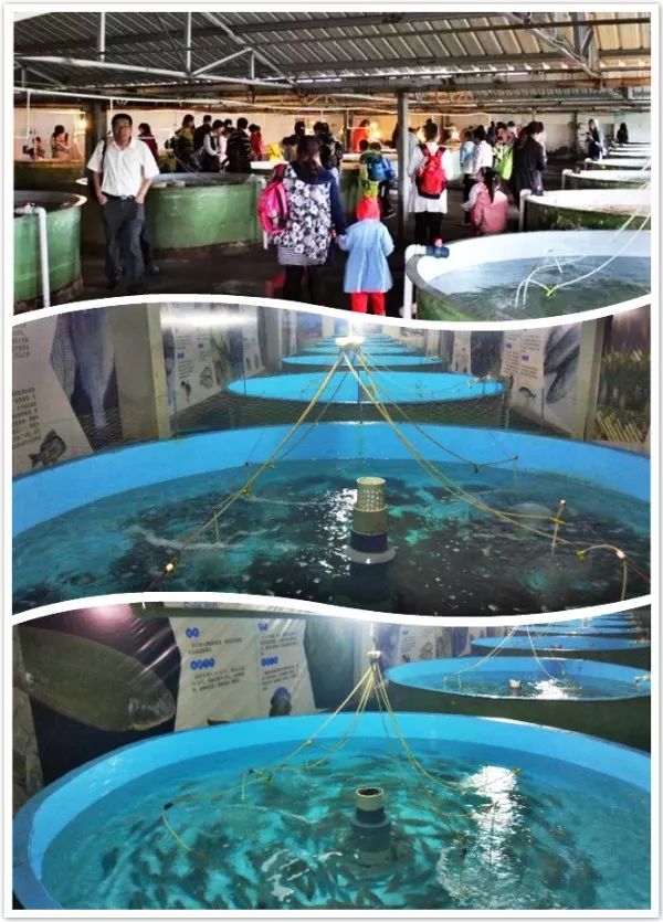 日照順風(fēng)陽光海洋牧場(chǎng)最新游玩攻略 盡享夏日海洋樂趣